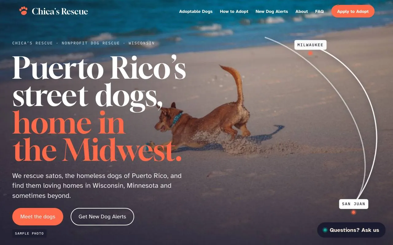 Screenshot of the animal rescue adoption system demo